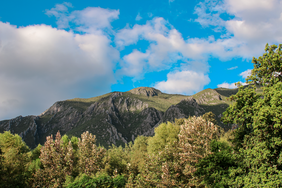 Sierra Madre