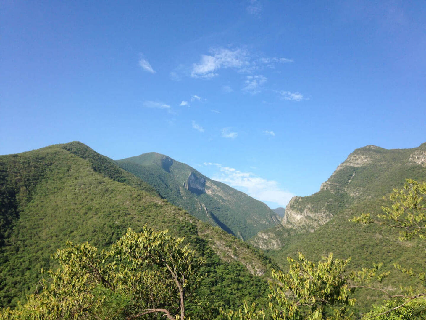 Huasteca Canyon Trail